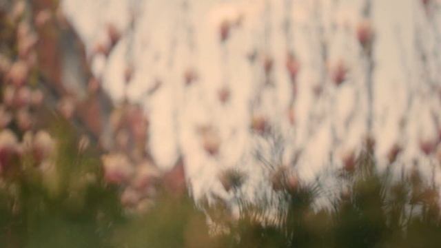 Юбилейная кукла Николь ? Куклы Наташи Кондратюк смотреть онлайн