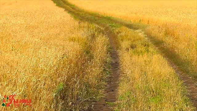 СМОТРЕТЬ ВСЕМ!!! Песня "МОЛОДОЙ АГРОНОМ". Ансамбль Калина. Russian folk song... смотреть онлайн