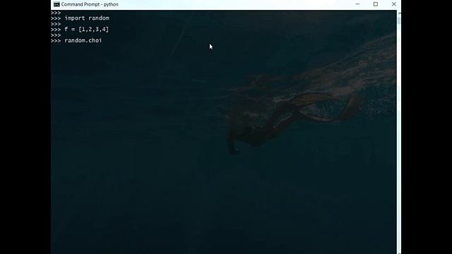 Select a Random Element from a List - py day 7 смотреть онлайн
