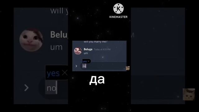 Спосибо Т9! {[оригинал в комментариях]}#shorts #cat #белуга #beluga смотреть онлайн