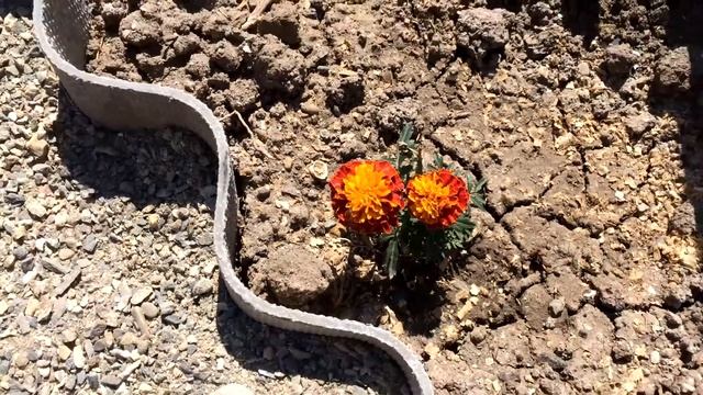 ПОГОДА НАЛАДИЛАСЬ ВОТ ТАК ТЕПЕРЬ УЧИМ СТИХИ смотреть онлайн