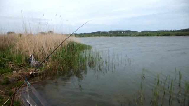 Необычная рыбалка ,от Пал Палыча 13 05 23 смотреть онлайн