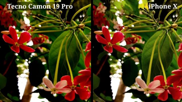 Tecno Camon 19 pro camera test vs iPhone x camera test смотреть онлайн
