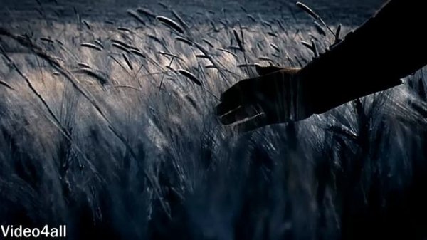 Gladiator Soundtrack -  Now We Are Free