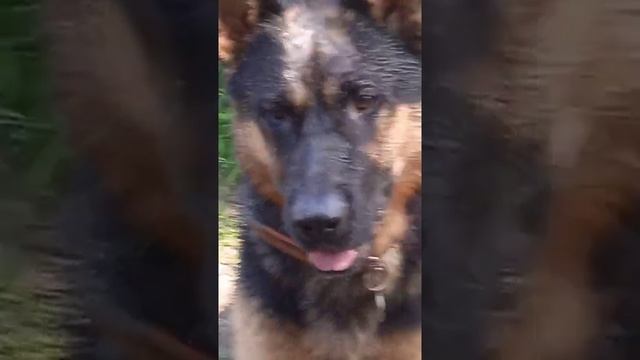 Каждый день, у Рема это праздник смотреть онлайн