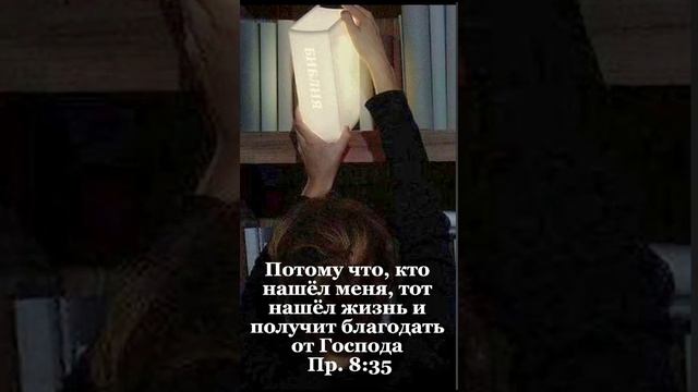 мудрые мысли смотреть онлайн