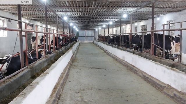 Кореновск. На полях и фермах. смотреть онлайн