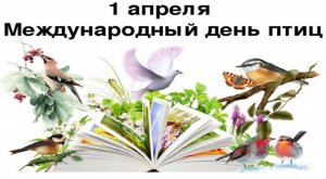 Международный день птиц