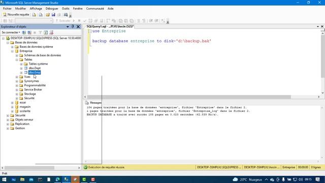 Sauvegarde et Restauration d'une Base de données avec un script SQL смотреть онлайн