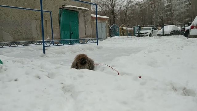 ГУЛЯЕМ ПО СНЕГУ,СЛОМАЛСЯ ЛИФТ ????? смотреть онлайн