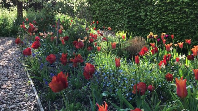 Pie Corner, Hertfordshire: A Slice Of Paradise