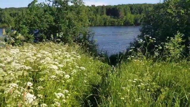 Ошибка геологов и деревенский фонтан в д.Усланка смотреть онлайн