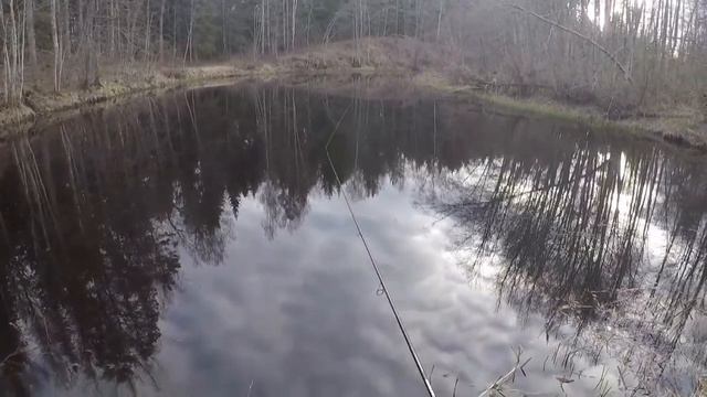 РЫБАЛКА НА СПИННИНГ 01.05.2021 смотреть онлайн