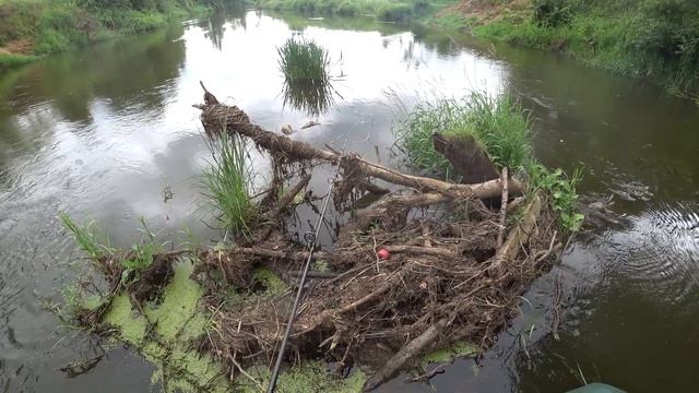 Классическая рыбалка на простую снасть: ИНЕРЦИОННАЯ КАТУШКА НЕЛЬМА, колебалки и вертушки. смотреть онлайн