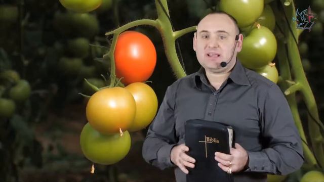 Binecuvantarea parintilor (Gen.27.34) смотреть онлайн