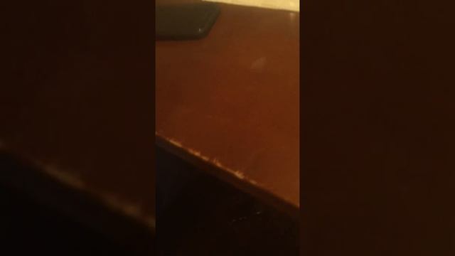 Вычёсываем кошку Милу смотреть онлайн