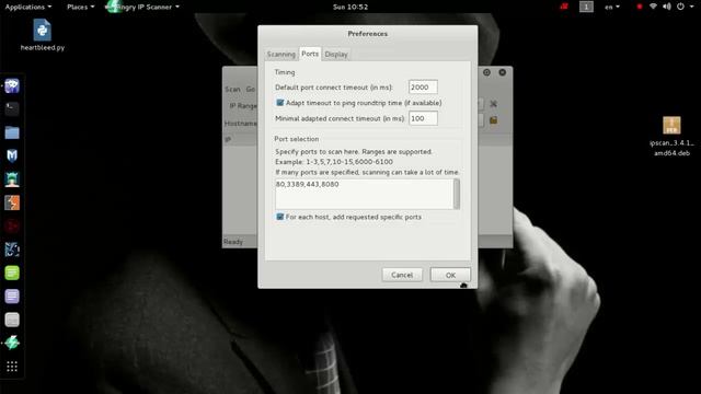 تثبيت Angry Ip Scanner في Kali Linux 2.0 смотреть онлайн