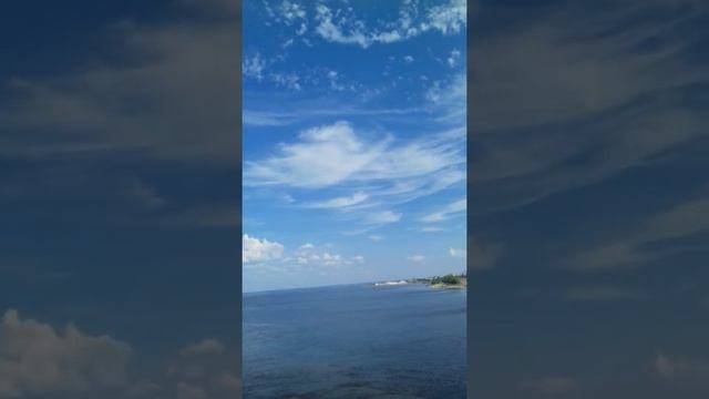 Птицы чайки на Волге. Лето 2018 смотреть онлайн