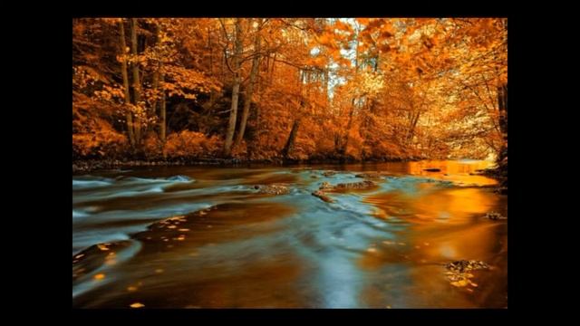 Золотая осень Петра Тодоровского смотреть онлайн