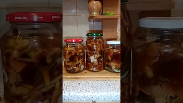консервированные зимних опят смотреть онлайн