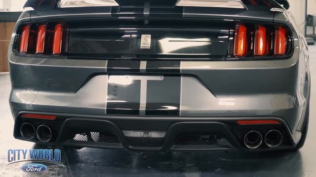 2019 Ford Mustang Shelby GT350 | City World Ford | Bronx, New York NY White Plains смотреть онлайн
