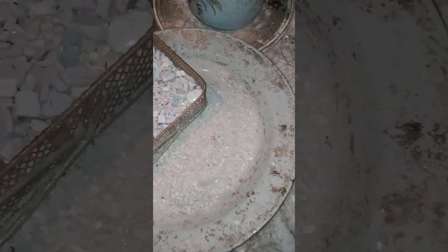 Кальций для кур смотреть онлайн