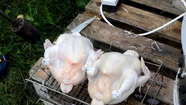 Смена КОРМА у Индоутят и очередной Забойный МЯСНОЙ день на Дачной Ферме смотреть онлайн