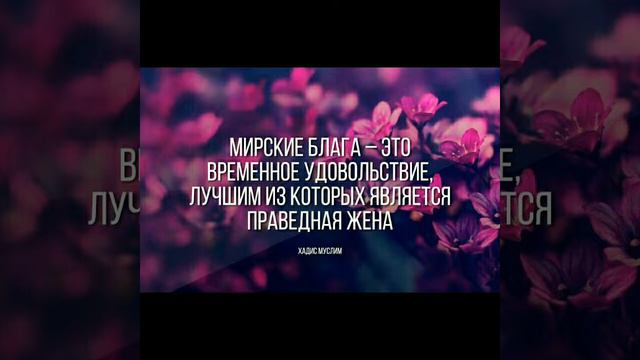 Семья в исламе смотреть онлайн