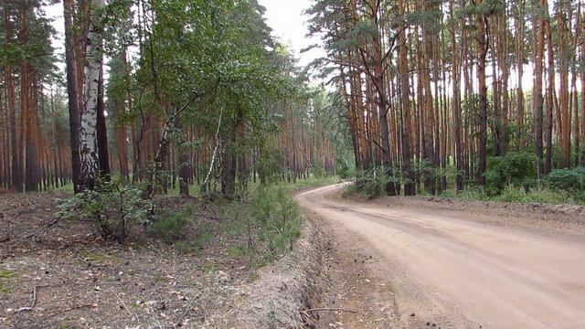 Старик приходил за грибами с того света... смотреть онлайн