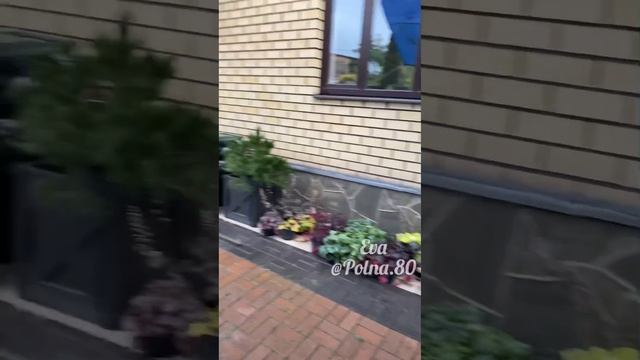 Обучение топиарному искусству. Курс новички. Моя школа за одно занятие смотреть онлайн