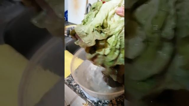 как хранить салат, петрушку, укроп в холодильнике смотреть онлайн