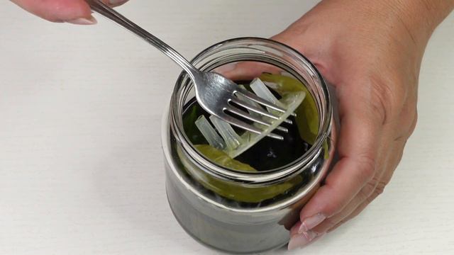 DIGESTIVO Al Basilico Fatto In Casa Liquore FRESCO E GUSTOSO  RICETTA SEMPLICE