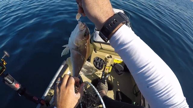 Pro Angler Kayak With Kid Seat Fishing La Jolla.