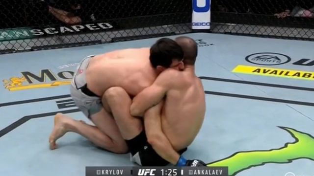 Крылов — Анкалаев ОБЗОР БОЯ UFC Fight Night 186 смотреть онлайн