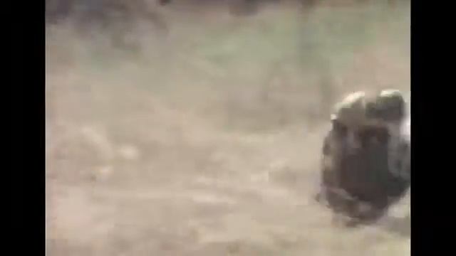 Вот что значит активный отдых. смотреть онлайн