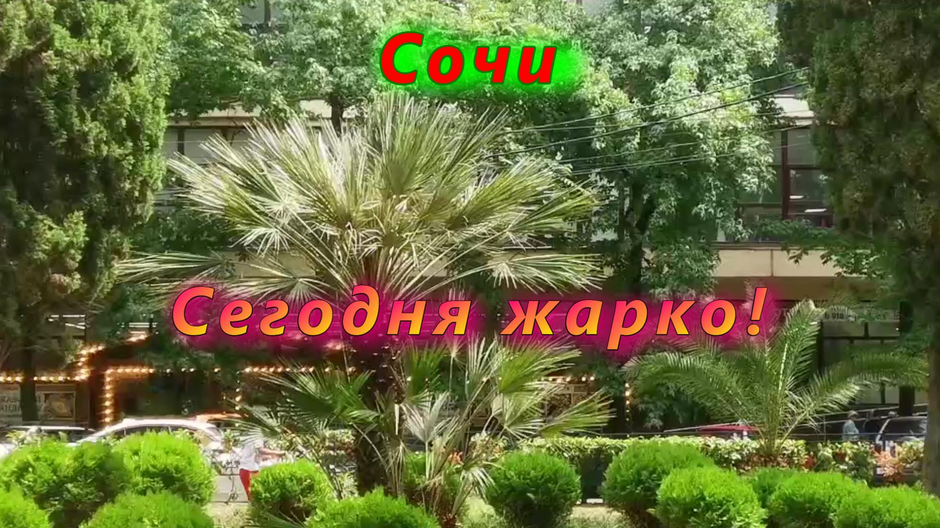 В Сочи очень жарко смотреть онлайн