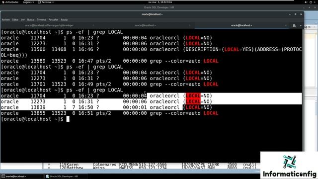 Oracle Base de Datos 21c desde cero para principiantes | PROCESOS - SESIONES DE USUARIO (video 58) смотреть онлайн