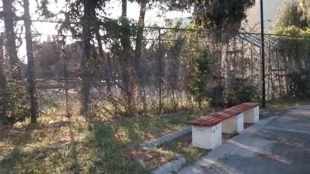 Кошки, улица и никого - центр Титреенгеля апрель 2021, Турция Сиде Cats Titreyengel Center Turkey смотреть онлайн