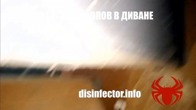 Диван зараженный клопами. смотреть онлайн
