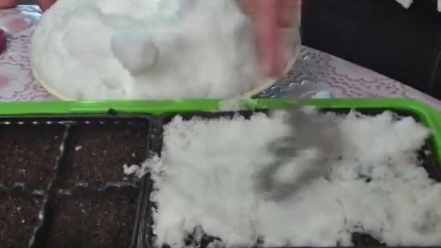 Дачные советы 12.02.2015 смотреть онлайн