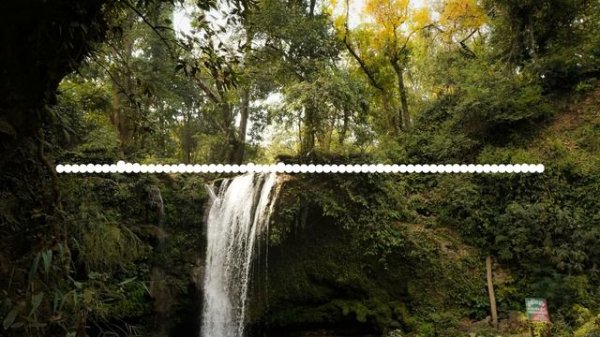 Анора - Мама