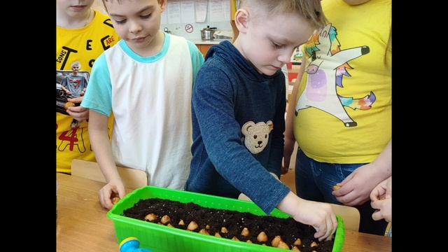 Проект- Посадили мы лучок!