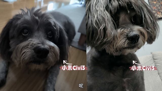 首批自费女性用户真实体验小米Civi3，天王老子来了，它自拍该丑还是丑！ смотреть онлайн