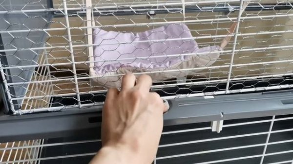 Купили клетку "Ferplast Barn 100" для крыс. Обустройство клетки.