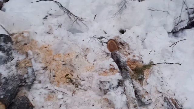 Мотобуксировщик завёз.Тест бензопилы Stihl ms180 копия. смотреть онлайн