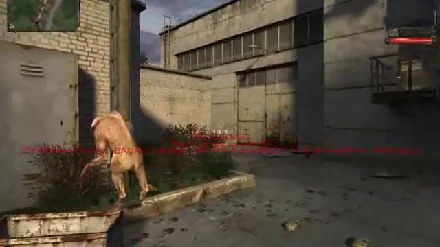 S.T.A.L.K.E.R. Build 1510 - Химера охотница смотреть онлайн