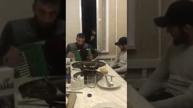 Дина волш виц вича ху дир ду аш со велча