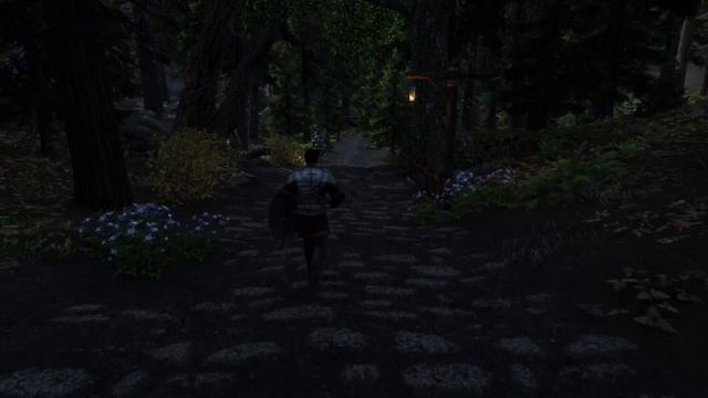 30 Minutes of Living Skyrim 4 | 1000+ mods! | ULTRA Graphics! | Wabbajack Modlist w/ Auto-Install смотреть онлайн