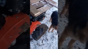 патриот Урал м обзор через 2 месяца после покупки. китайский мотоблок собранный в России.