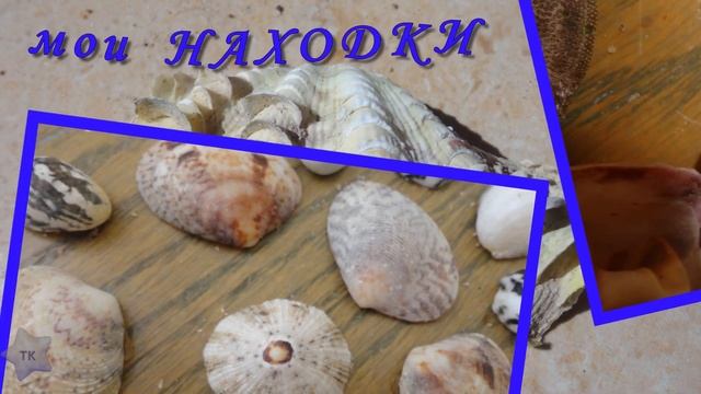Красное море в Египте. Жемчужина Мирового океана. смотреть онлайн